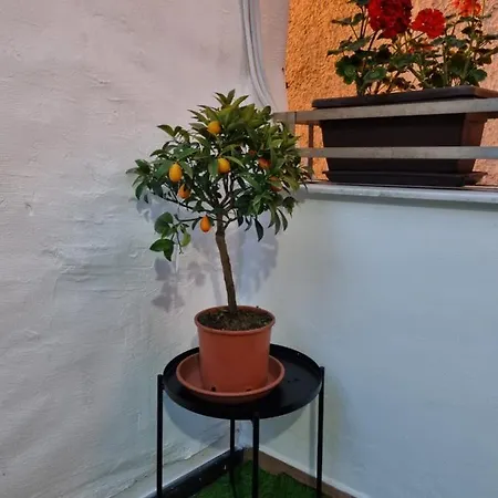 Giardino Moreno * 팔레르모